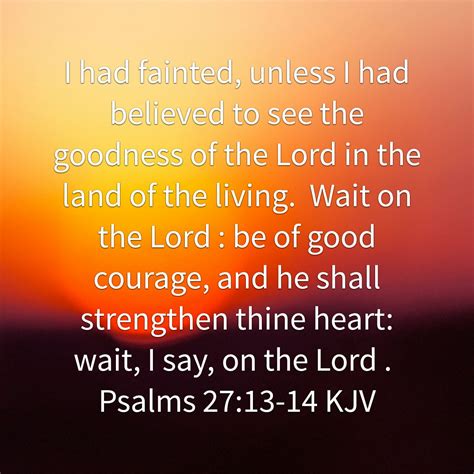 Psalm 27 13 14 i had fainted unless i had believed to see the goodness ...