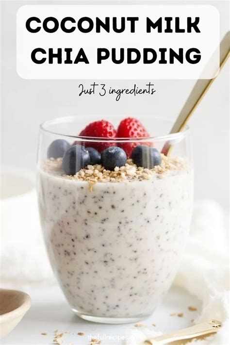 Coconut Milk Chia Pudding | Recipe in 2025 | Coconut milk recipes, Chia ...