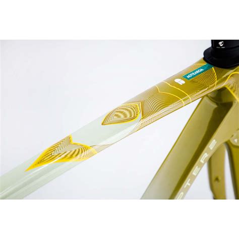 Buy Chapter2 TOA Race Disc Brake Frameset - Tongariro | Cyclop.in