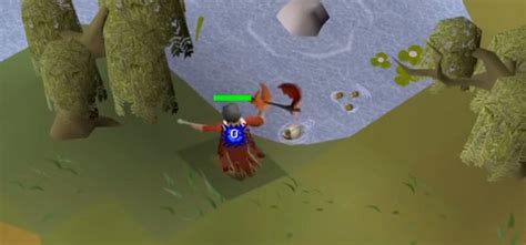 What's The Best Magic Tree Spot in OSRS? - FandomSpot