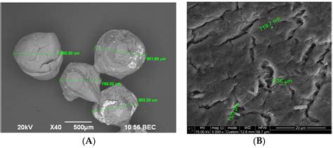 Study of Probiotic Bacteria Encapsulation for Potential Application in ...