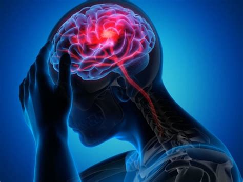 Flexible Brain? Walking Changed Frontal Lobe Function, Bettered ...