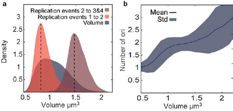 Image result for Cell Over Replication