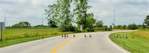 FRECK FUNERAL CHAPEL - Updated January 2026 - 25 Photos - 1155 S Wynn ...