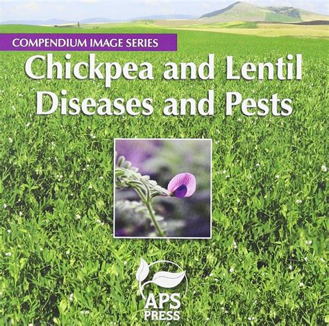 Buy Chickpea and Lentil Diseases and Pests (Compendium Image Series ...
