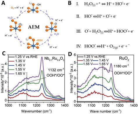 RuO2 Catalysts for Electrocatalytic Oxygen Evolution in Acidic Media ...