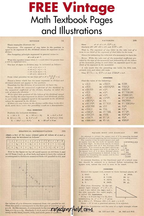 Vintage Algebra Textbook Pages and Illustrations