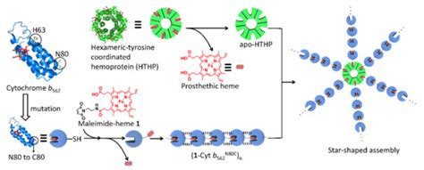 A Supramolecular Assembly of Hemoproteins Formed in a Star-Shaped ...