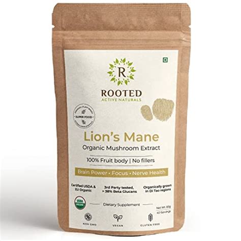 Rooted Actives Lions Mane mushroom Extract (60 g) | Memory, Focus, Bra ...