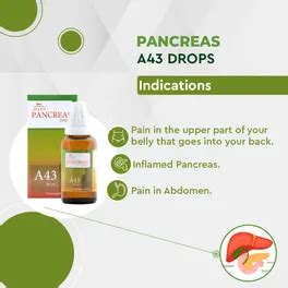 Allen Pancreas A43 Drops, 30 ml | Uses, Benefits, Price | Apollo Pharmacy