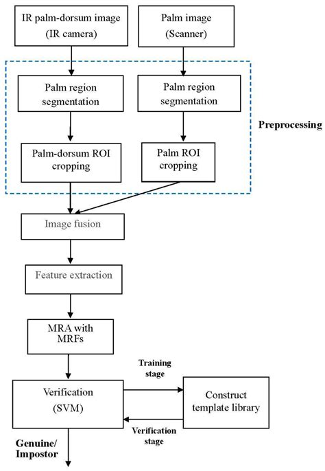 Bimodal Biometric Verification Using the Fusion of Palmprint and ...