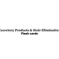 Flashcards: Excretory Products and their Elimination - Biology Class 11 ...