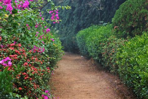 BHALKI MACHAN (2026) All You Need to Know BEFORE You Go (with Photos ...