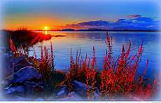 Summer Wallpapers For by Summer Pictures For Desktop Background 183 Wallpapertag Summer Wallpapers For
