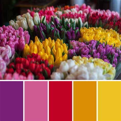Image result for Spring Color Combinations