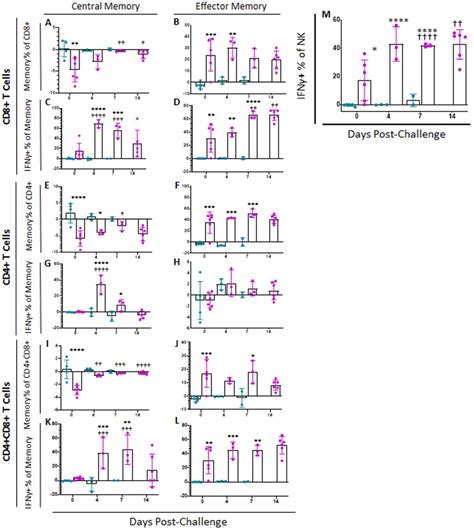 A Highly Effective African Swine Fever Virus Vaccine Elicits a Memory T ...