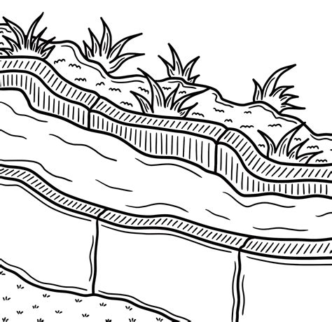 10,000+ Free Riego Por Exudación & Irrigation Images - Pixabay