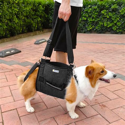 IndiHopShop Dog Carry/Support Bag/Harness – Indihopshop