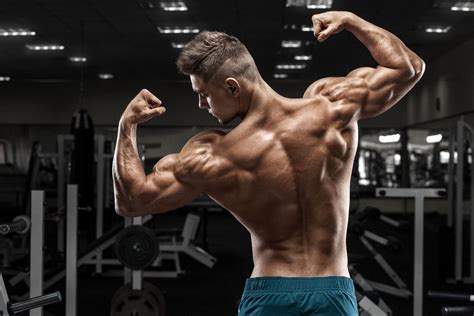 4 myths and facts about the side effects of creatine - GymBeam Blog