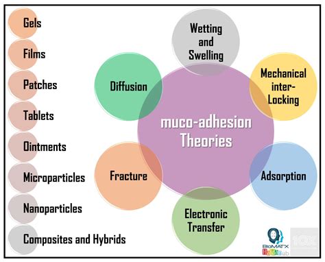 Bio-Inspired Muco-Adhesive Polymers for Drug Delivery Applications