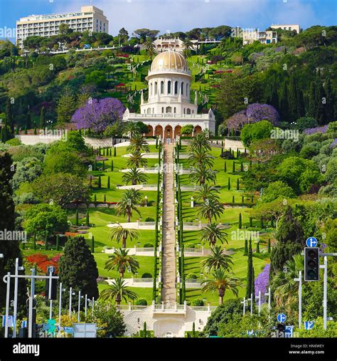 View of Bahai gardens and the Shrine of the Bab on mount Carmel, Haifa ...