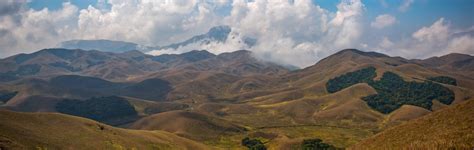 Of the Classes of Environmental Regulation, Grasslands Are Poorest of ...