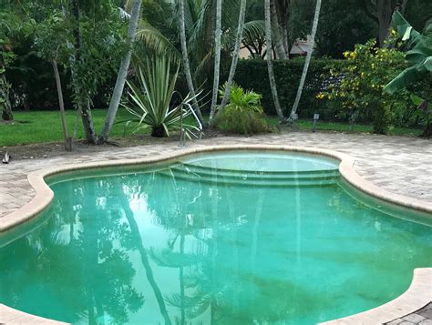 Mustard Algae In Swimming Pool at Adan Jackson blog