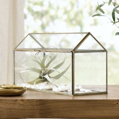 Glass Terrarium Box | Grandin Road