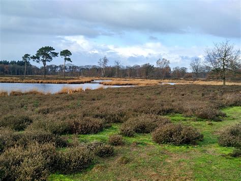 TOURS HOLANDA (2026) All You Need to Know BEFORE You Go (with Photos ...