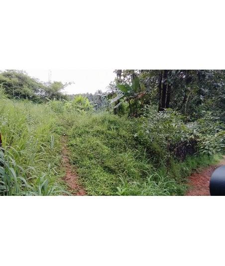 11 Cent House Plot at Kunnamangalam Town For Sale in Kozhikode