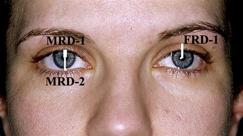 Image result for How to Reference Class in Visual Basic