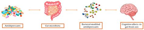 Role of the Intestinal Microbiota in the Genesis of Major Depression ...