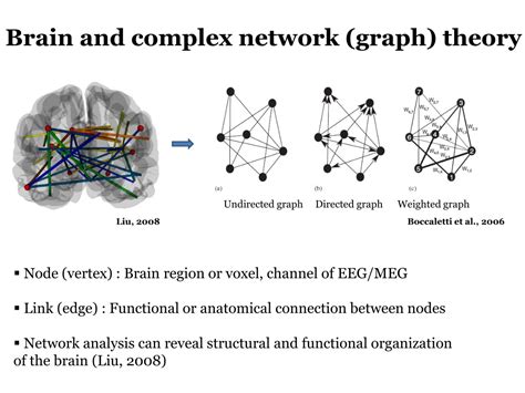 Image result for Brain Complex Network