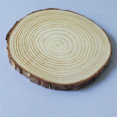 Wood Log | Bark Coaster/Slices for DIY | Craft Work | Best Rate