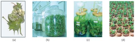 A Pattern-Based Approach for Detecting Pneumatic Failures on Temporary ...