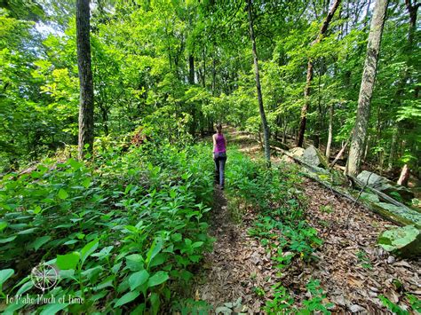 Hiking Read Mountain Preserve in Southwestern Virginia - 4.6 Mile Loop ...