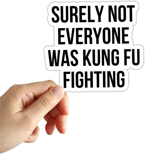 Surely Not Everyone Was Kung Fu Fighting Sticker Laptop Waterbottle ...