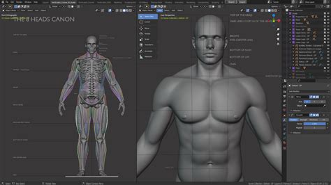 Image result for Blender Tutorial Human Body