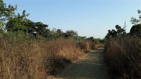 AMBAZARI BIODIVERSITY PARK (2025) All You Need to Know BEFORE You Go ...