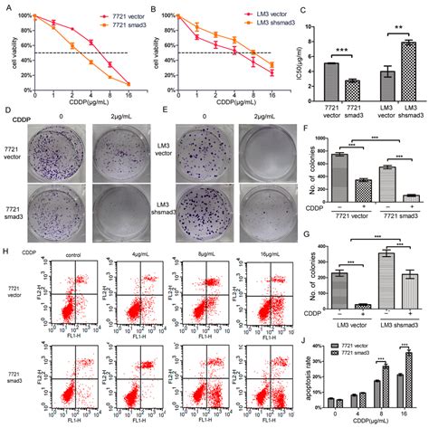 Smad3 Sensitizes Hepatocelluar Carcinoma Cells to Cisplatin by ...