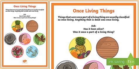 Once Living Things Display Poster