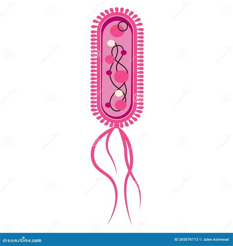 Escherichia Coli Bacteria Scientific Vector Illustration Isolated Graphic Stock Vector ...