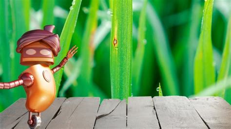 Amistar Top | Syngenta