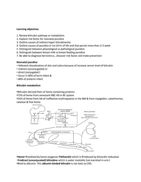 Image result for Neonatal Jaundice Algorithm