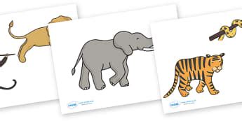 Animals - Age 3-5 Topics Primary Resources