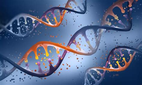 Air transport essential link in logistical chain for cell and gene ...