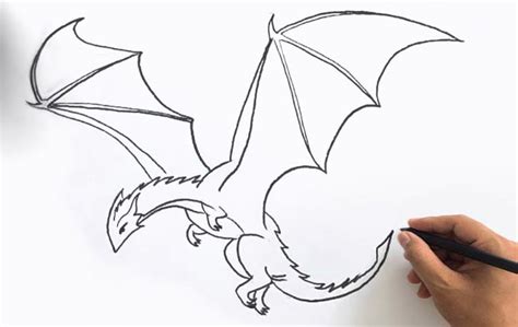 Image result for Drawing Tutorials How to Draw a Dragon