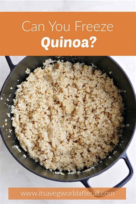 Can you freeze cooked quinoa? - It's a Veg World After All®
