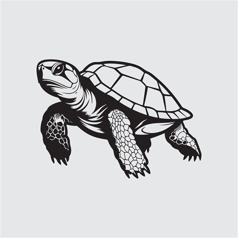 Image result for Turtle Graphics Art