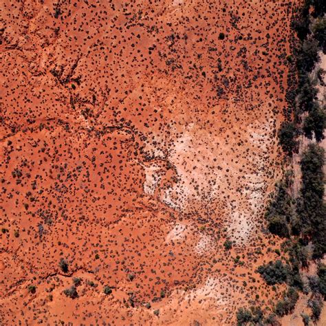 Download wallpaper 1280x1280 desert, trees, aerial view, brown ipad ...